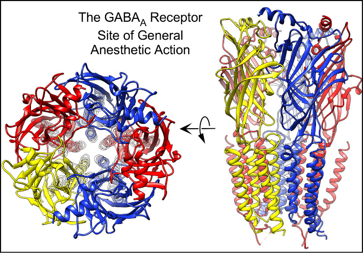 Beecher/Mallinckrodt Laboratories for Molecular Pharmacology Research