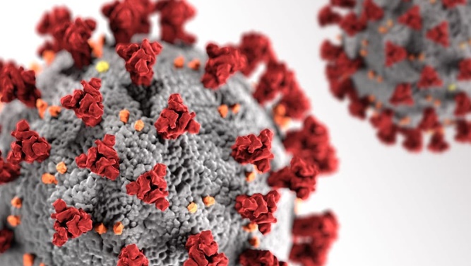 Virus illustration