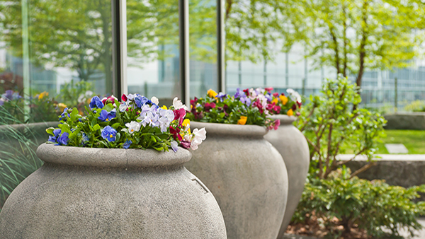 The Howard Ulfelder, MD Healing Garden. The Howard Ulfelder, MD Healing Garden.