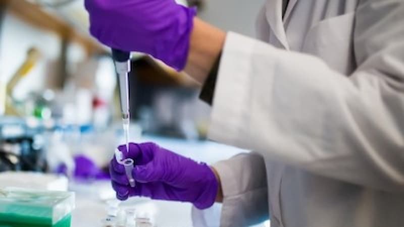 Close up of hands doing research