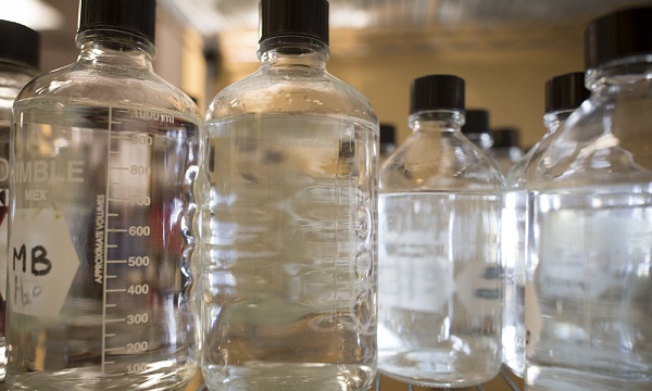 image of coronavirus under a microscope image of coronavirus under a microscope