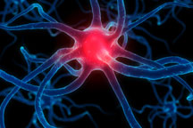 Illustration of neurons