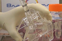 gloved hand holding scientific equipment