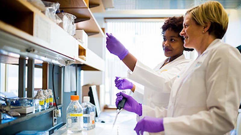 Two researchers in a lab