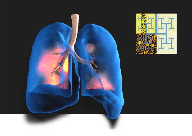 Pulmonary Imaging and Bioengineering Laboratories